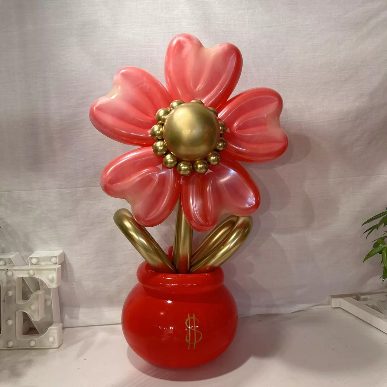 囍氣氣球編織花盆 -中型招財花