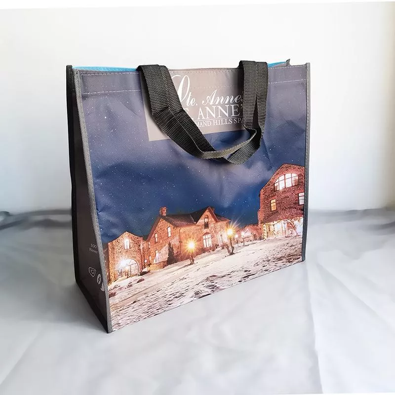 Amy烘焙網:中號城堡莊園防水購物袋/超市購物袋/中號防水購物袋/防水環保袋/購物提袋/肩背購物袋