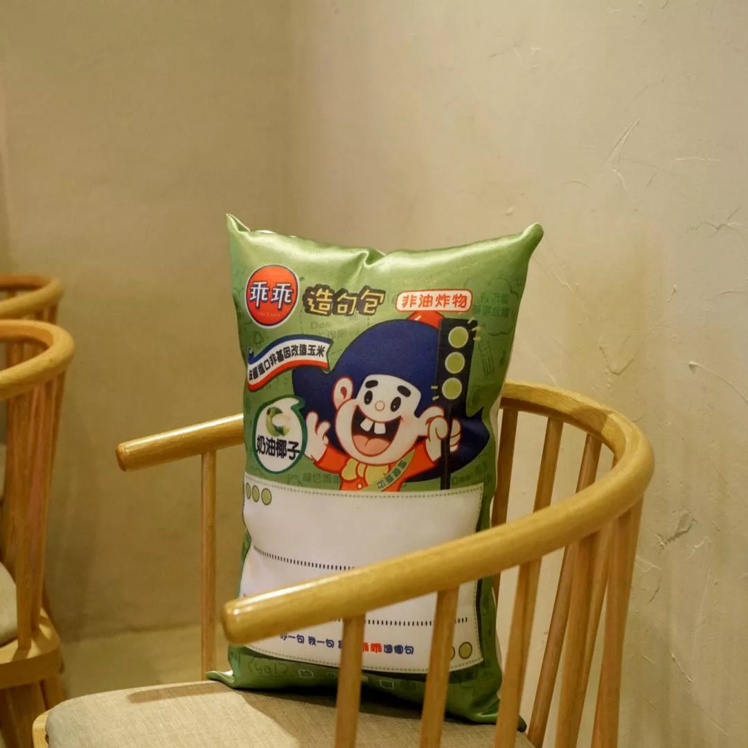 ONE PILLOW | 有趣造型抱枕乖乖造句
