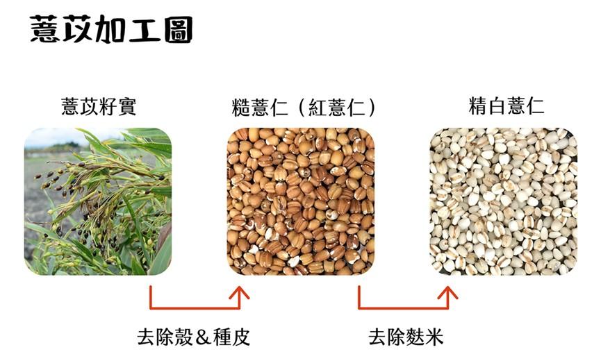 薏苡加工三階段示意圖