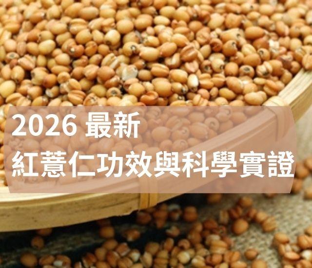 2026 最新紅薏仁功效與科學實證：從營養成分到研究趨勢的全解析