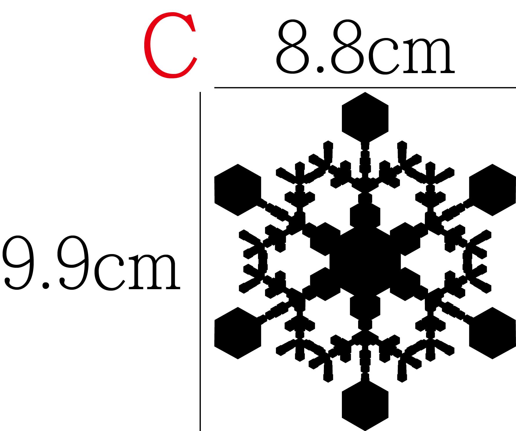 雪 雪花 C款