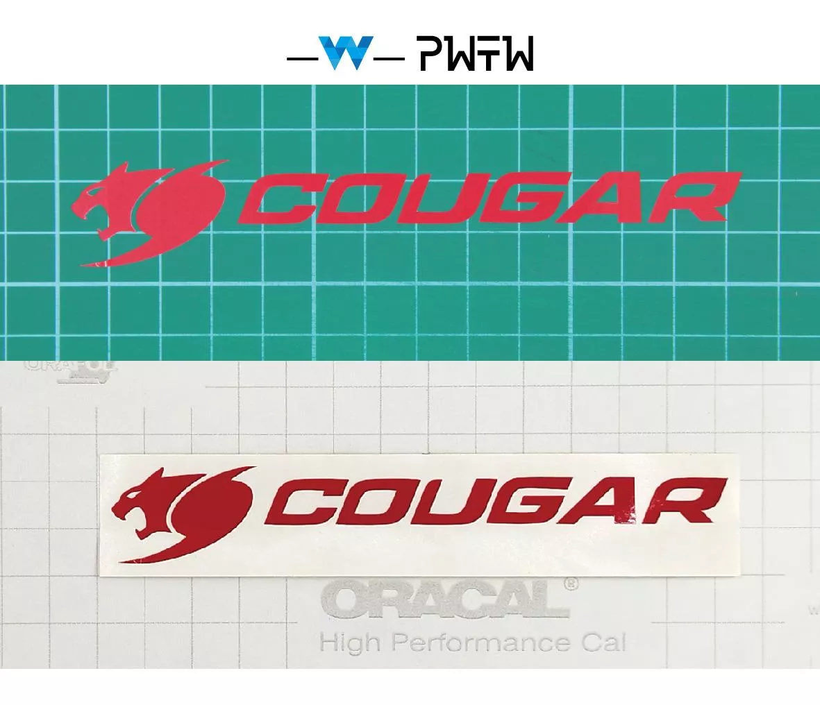 COUGAR 美洲獅