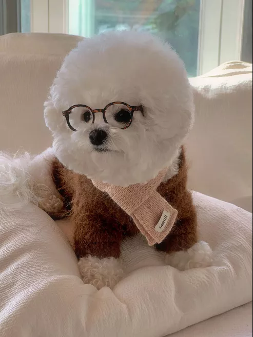 韓國精選♡︎ 毛海感氣質針織小外套