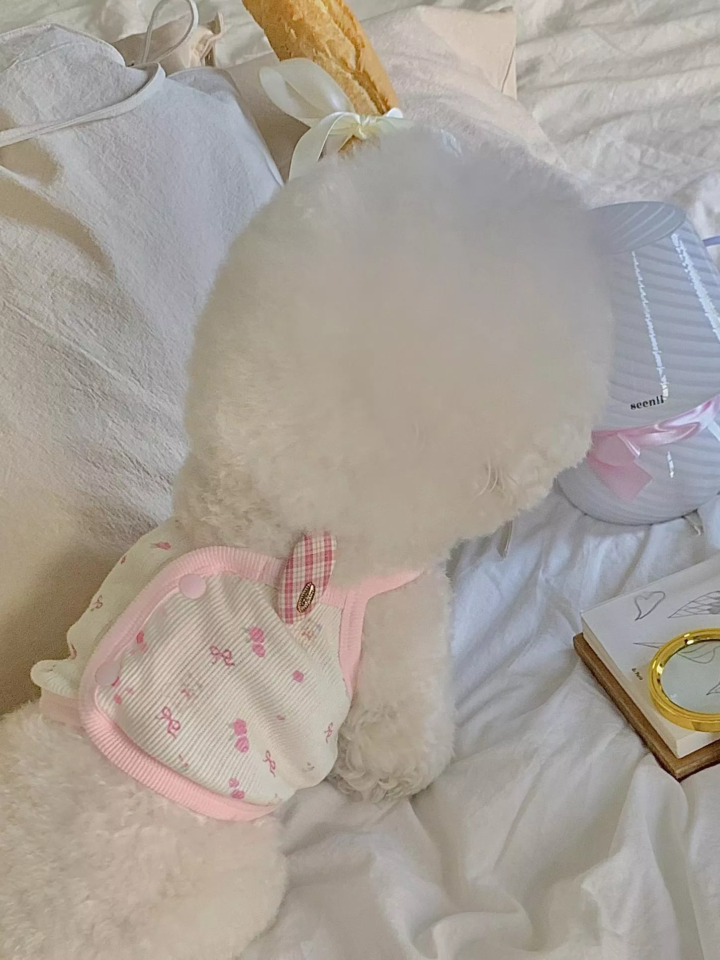 韓國精選♡︎ 美翻的法式小碎花背心