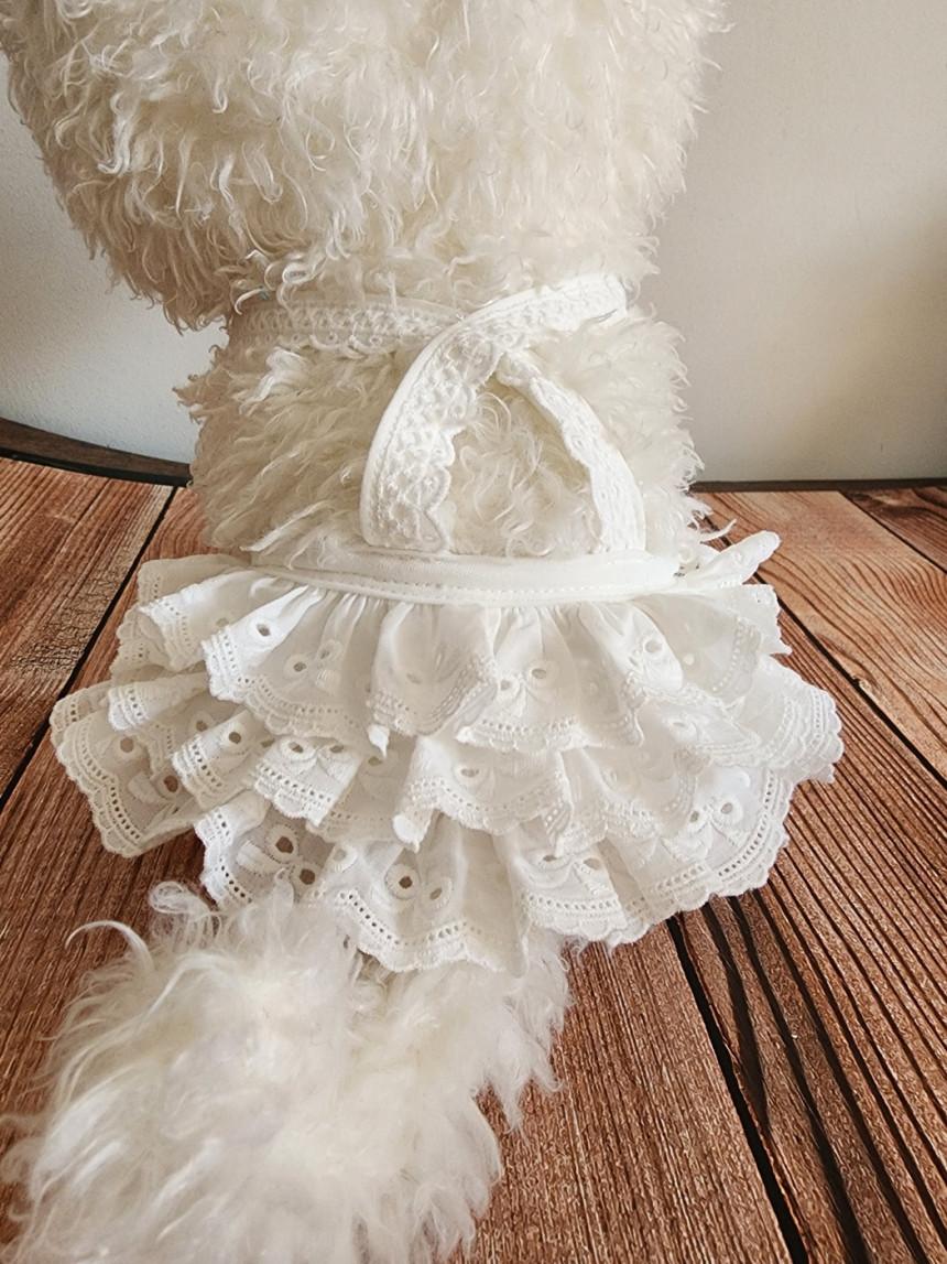 韓國小選品✿ 超美的～蝴蝶結🎀蕾絲交叉細肩帶洋裝
