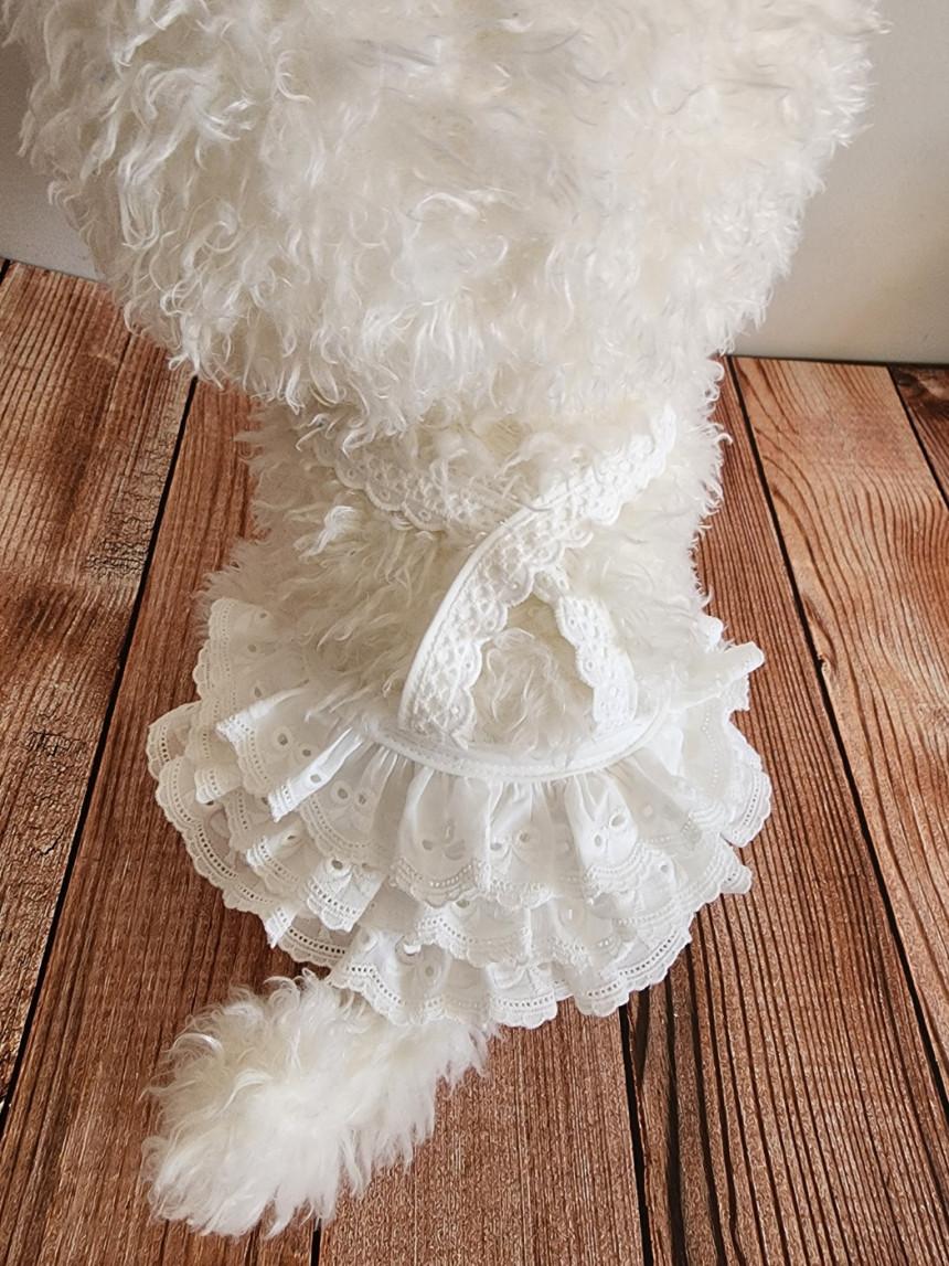 韓國小選品✿ 超美的～蝴蝶結🎀蕾絲交叉細肩帶洋裝