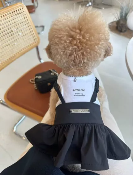 韓國小選品 女團款個性背心裙