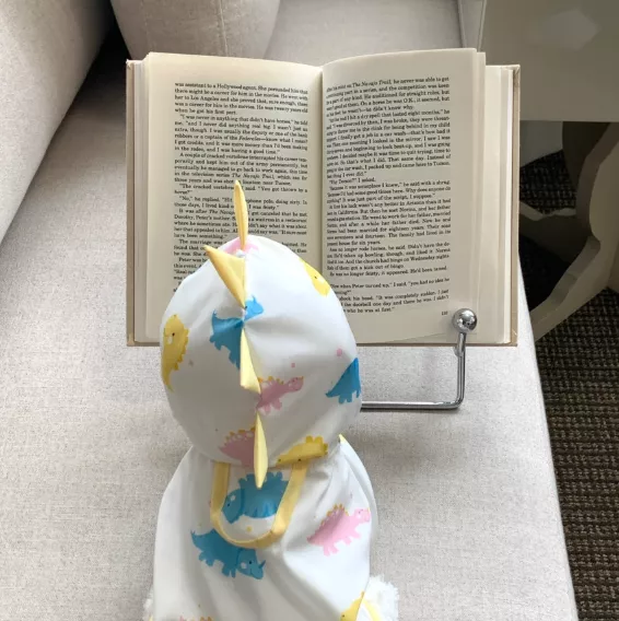 韓國小選品 斗篷式恐龍雨衣