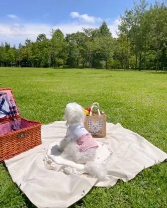 韓國小選品♡♡ 親子裝小短裙