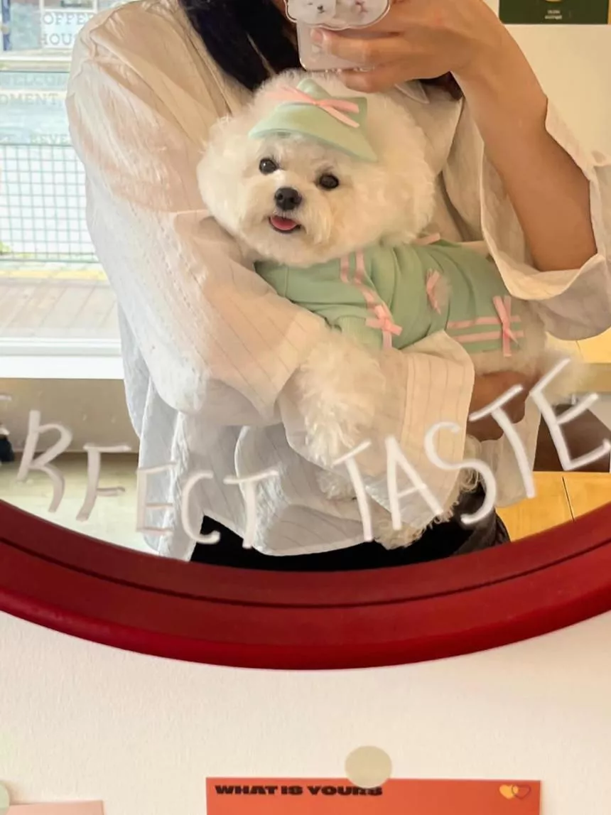 韓國大推薦! 薄荷粉蝴蝶結大學T