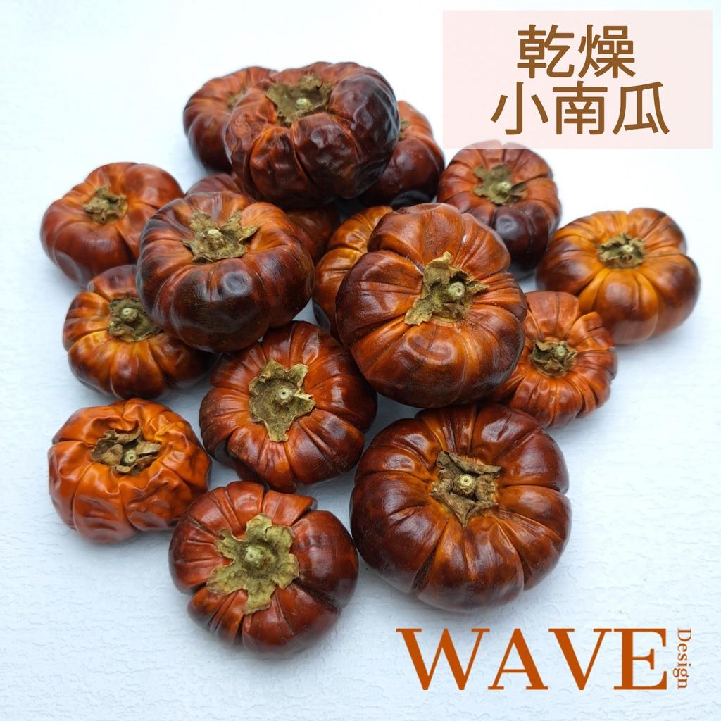 《WAVE Design 》乾燥小南瓜 乾燥果實 花藝 燭台 材料 聖誕節花圈 萬聖節 DIY材料 乾燥花 乾燥果實