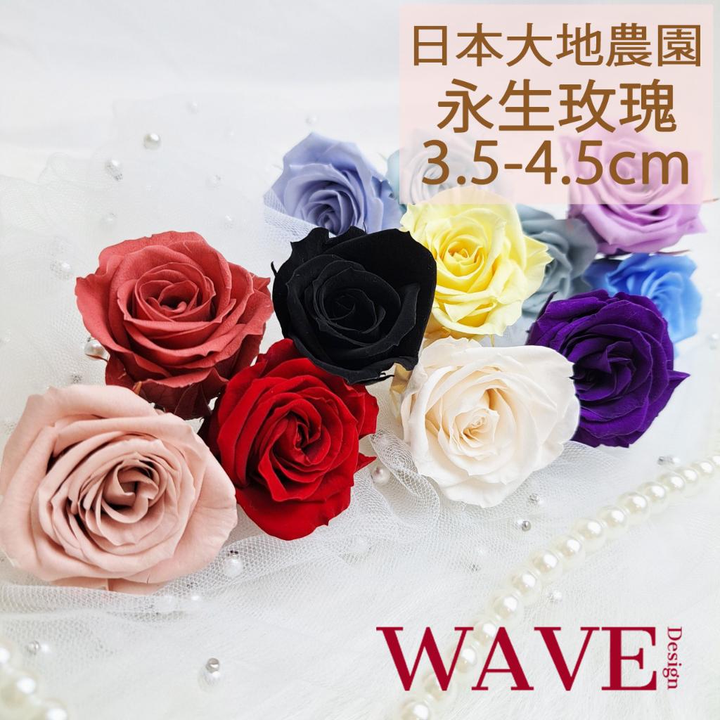 《WAVE Design 》日本大地農園 永生玫瑰 玫瑰乾燥花 花材 永生花 不凋花 天然乾燥花 花束 捧花 手作
